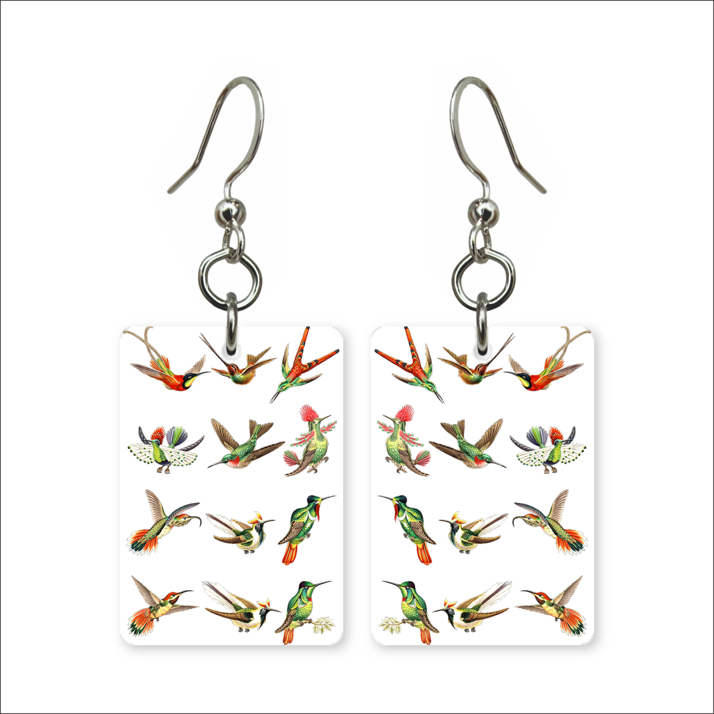 Hummingbird Study Earrings