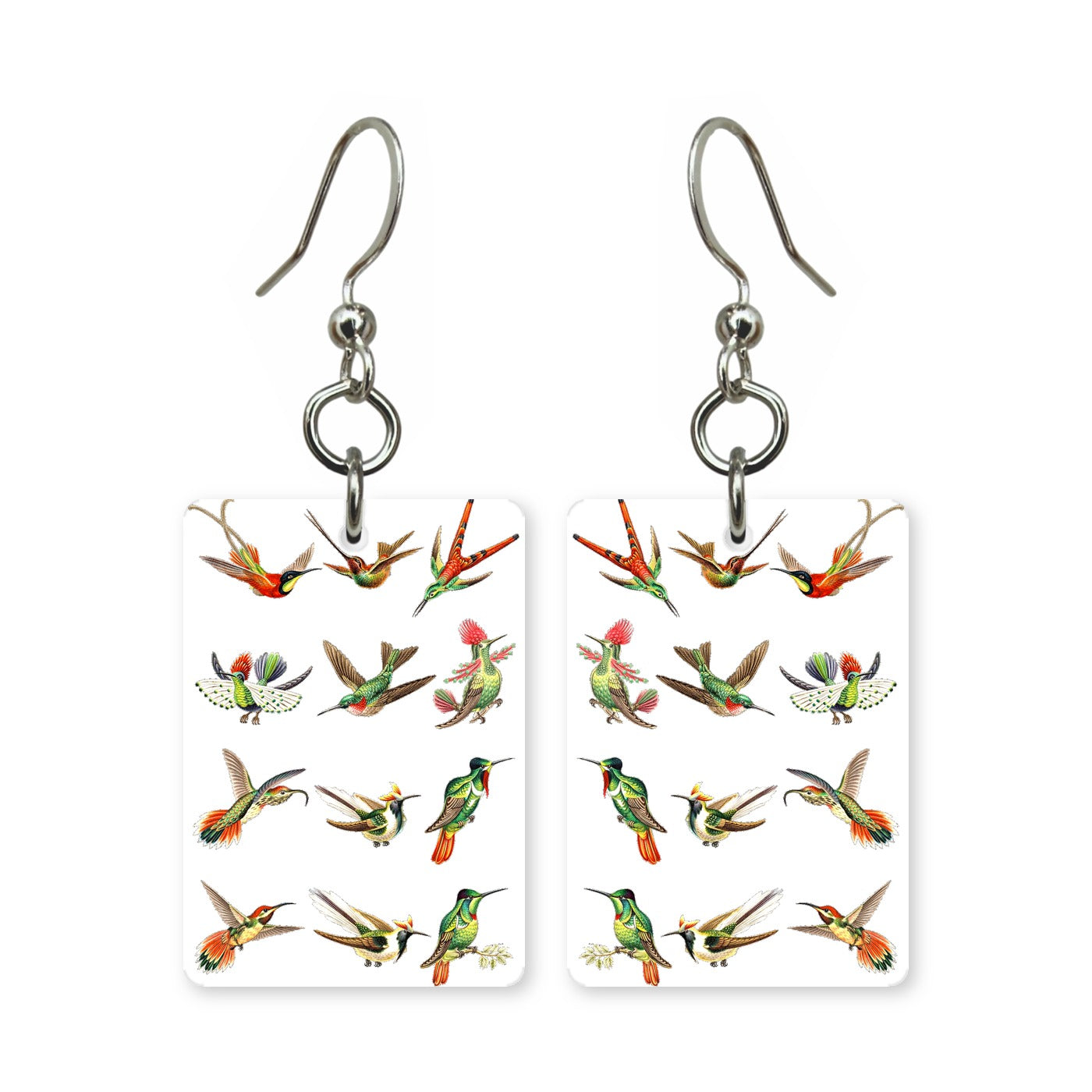 Hummingbird study earrings — field-guide style hummingbird illustration, made in USA