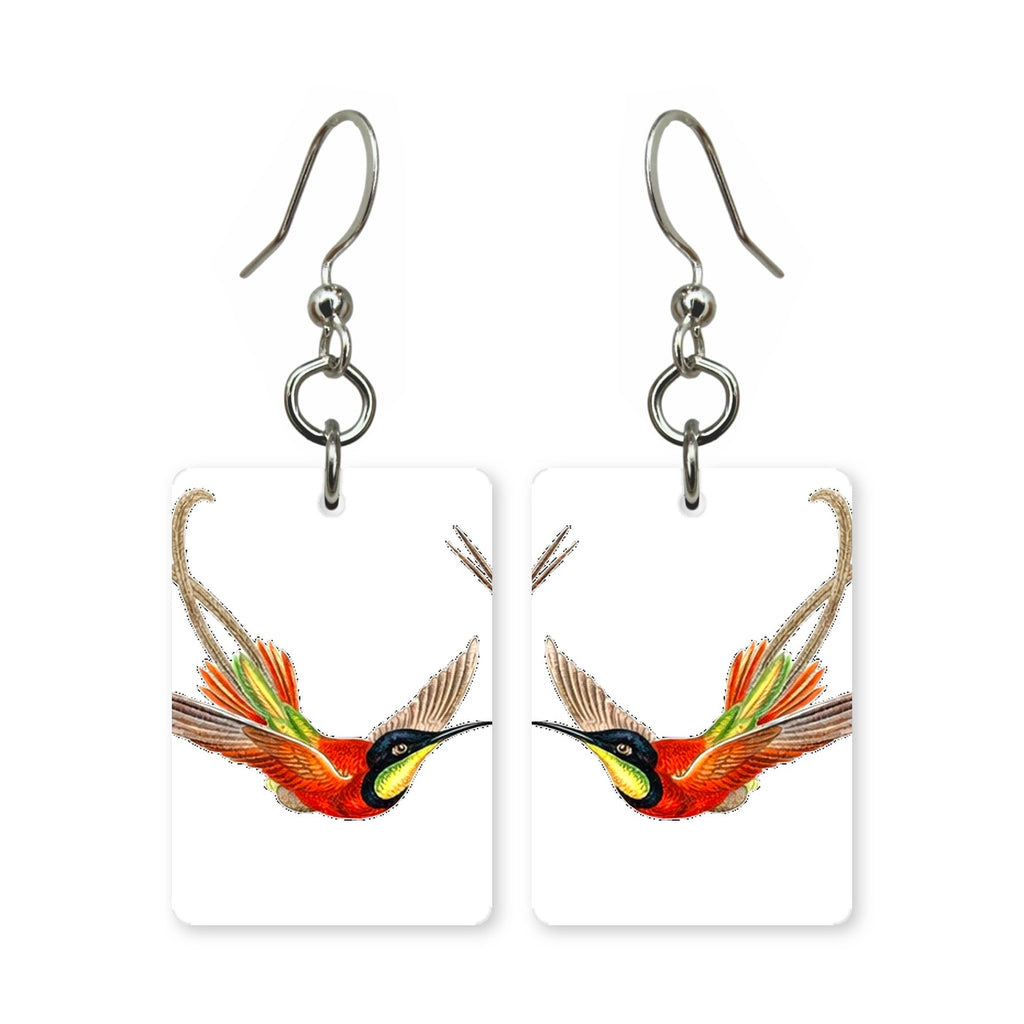 Hummingbird Study Earrings | FWP129A