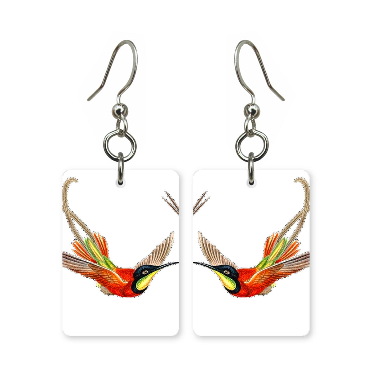 Hummingbird Study Earrings | FWP129A