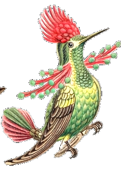 Crested Hummingbird Earrings