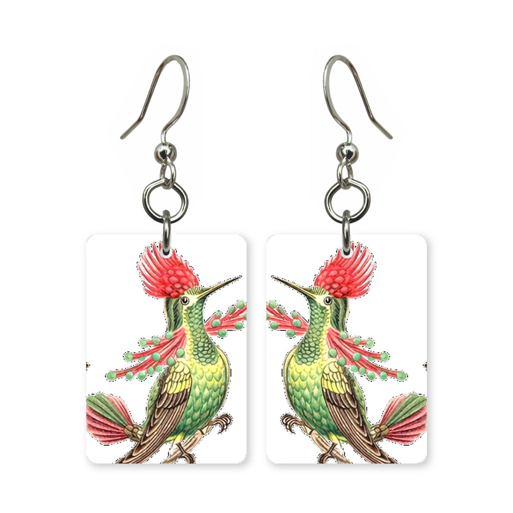 Crested Hummingbird Earrings | FWP129B