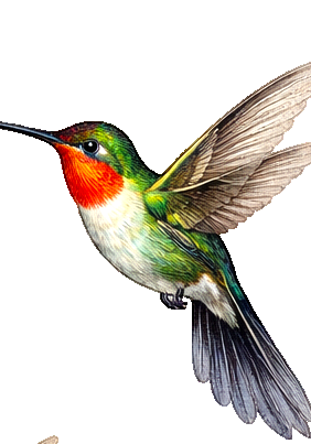 Ruby-Throat Hummingbird Earrings