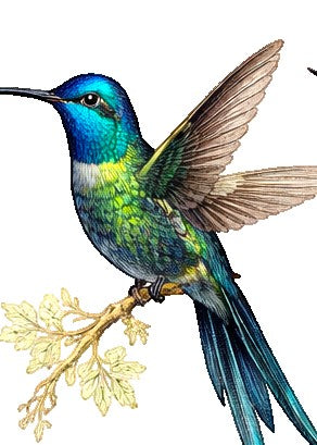 Sapphire Hummingbird Earrings | FWP129J