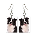 Border Collie Earrings