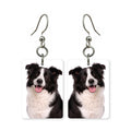 Border collie earrings — focused border collie portrait in cut paper, made in USA