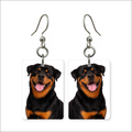 Rottweiler Portrait Earrings