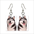 Blue-Eyed Husky Earrings