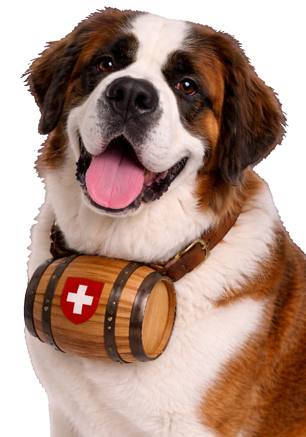 Saint Bernard Earrings