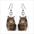 Brown Tabby Cat Earrings