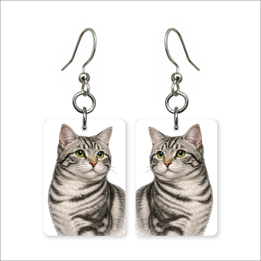 Silver Tabby Earrings