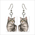 Silver Tabby Earrings