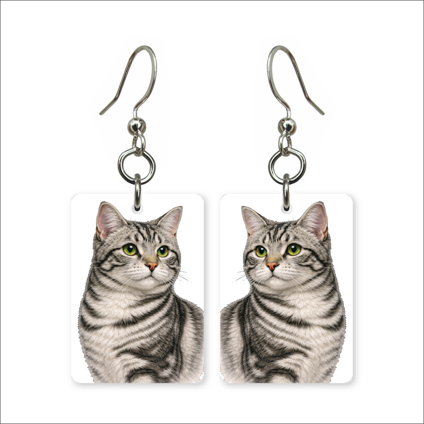 Silver Tabby Earrings