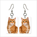 Orange Tabby Cat Earrings