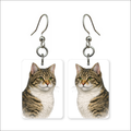 Golden Tabby Earrings