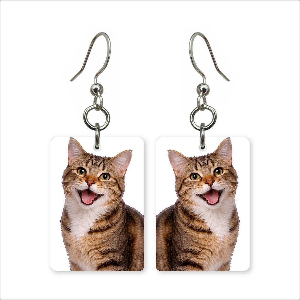 Smiling Tabby Earrings