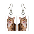Smiling Tabby Earrings