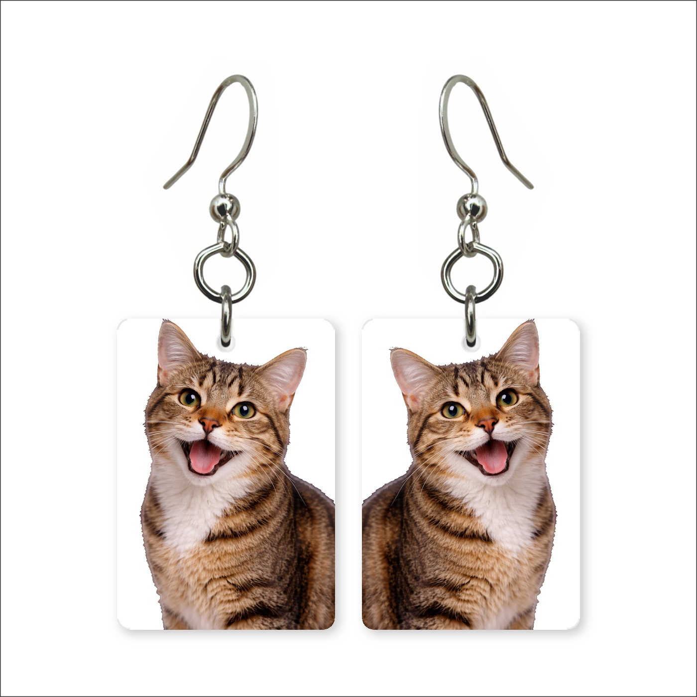 Smiling Tabby Earrings