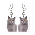 British Shorthair Earrings