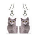 British Shorthair earrings — round-faced blue-grey cat portrait in cut paper, made in USA