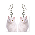 Odd-Eyed White Cat Earrings