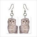 Scottish Fold Earrings
