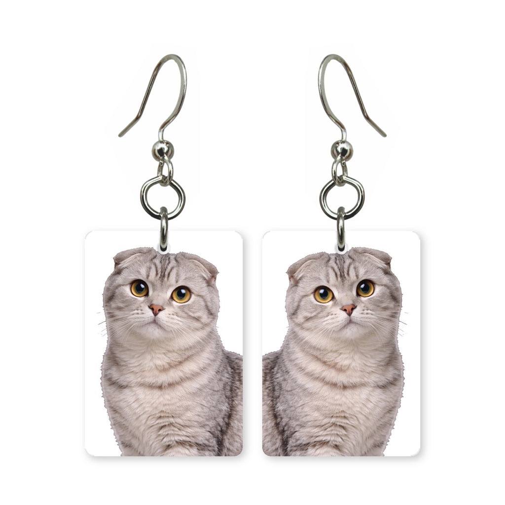 Scottish Fold cat earrings — folded-ear cat with round eyes in cut paper, made in USA