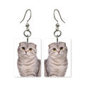 Scottish Fold cat earrings — folded-ear cat with round eyes in cut paper, made in USA