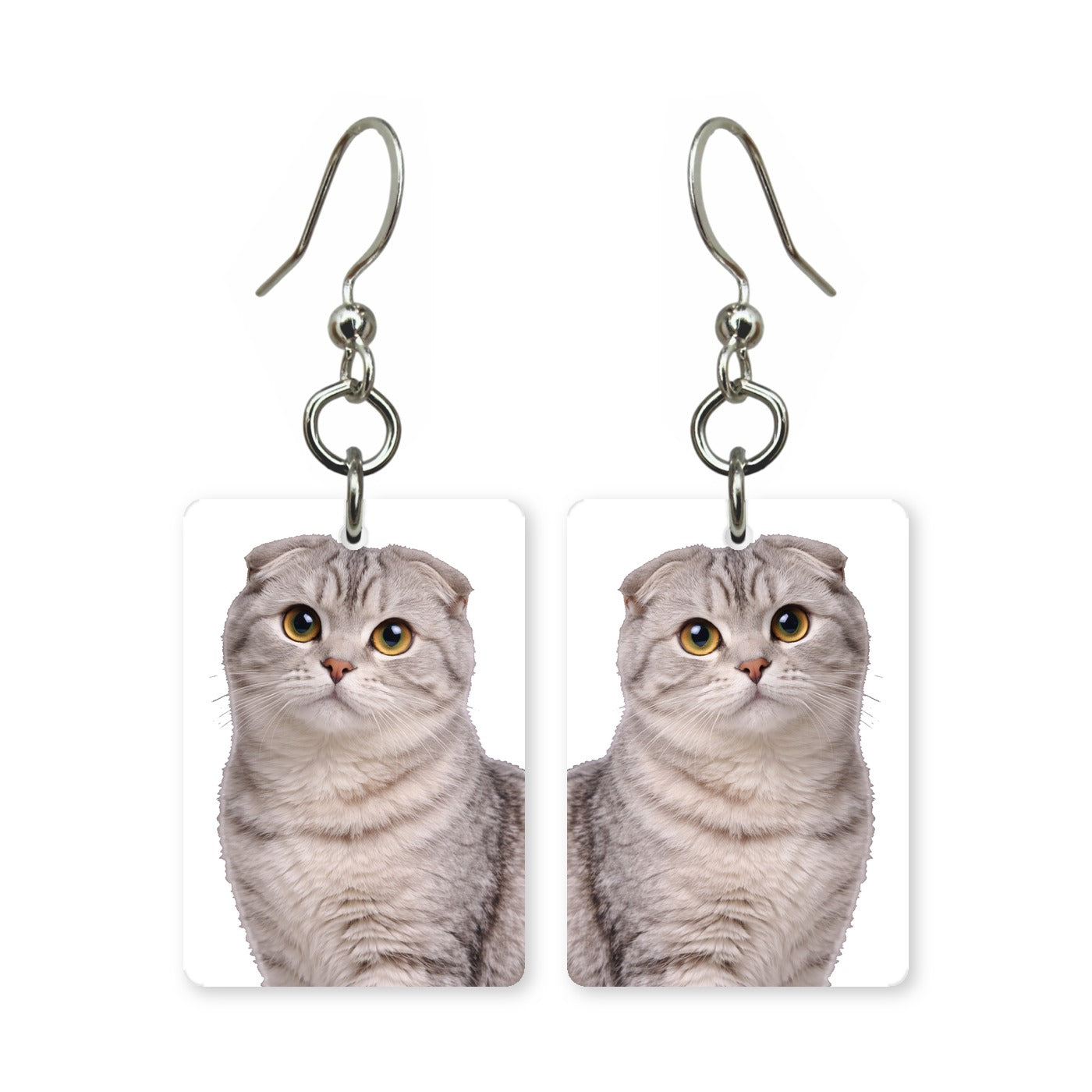Scottish Fold cat earrings — folded-ear cat with round eyes in cut paper, made in USA