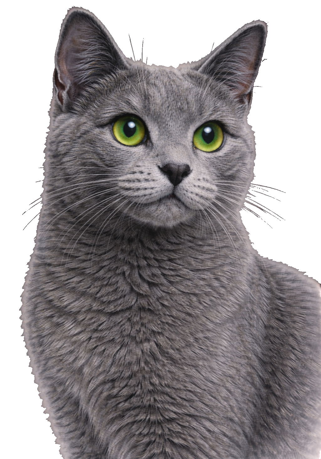 Russian Blue Earrings