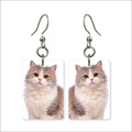 Highland Fold Cat Earrings