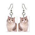 Highland Fold cat earrings — folded-ear long-haired cat portrait in cut paper, made in USA
