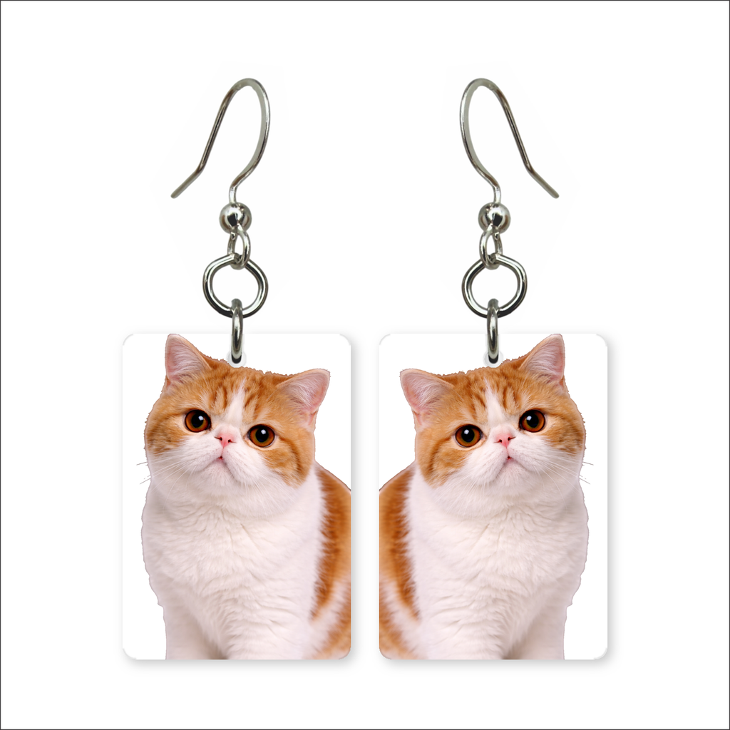 Exotic Shorthair Earrings