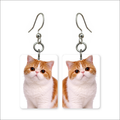 Exotic Shorthair Earrings