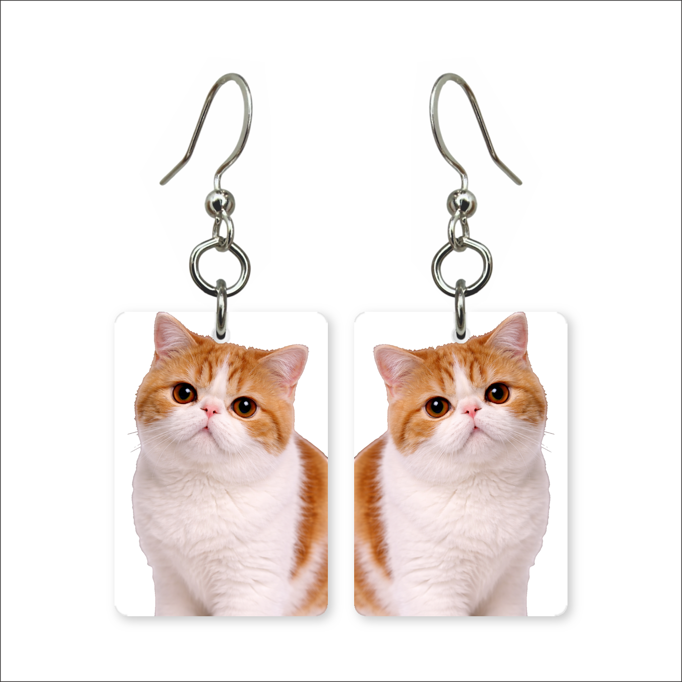 Exotic Shorthair Earrings