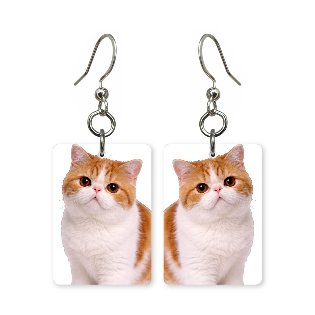 Exotic Shorthair cat earrings — flat-faced cat breed portrait in cut paper, made in USA