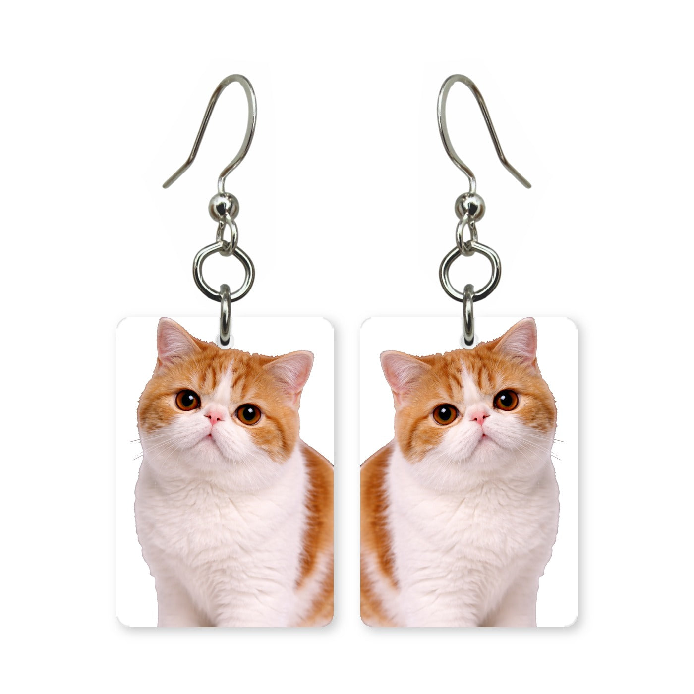 Exotic Shorthair cat earrings — flat-faced cat breed portrait in cut paper, made in USA