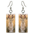 Desert Jackrabbit Earrings | FW151