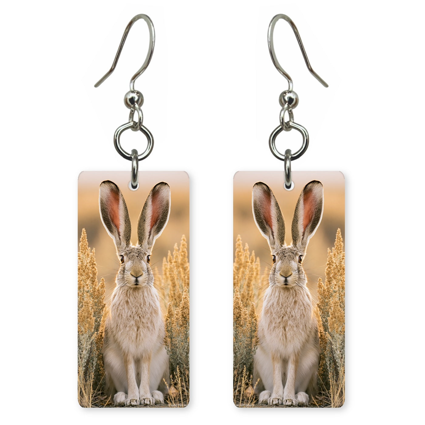 Desert Jackrabbit Earrings | FW151
