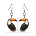 Toco Toucan Earrings