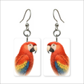 Scarlet Macaw Earrings