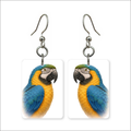Blue Gold Macaw Earrings