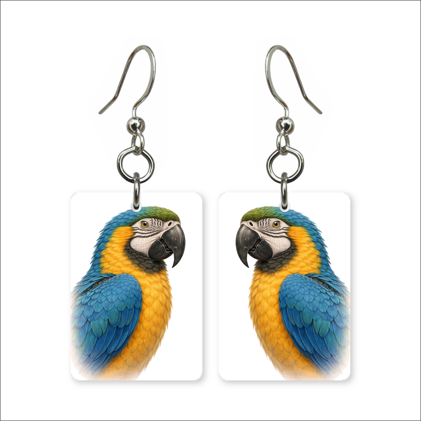 Blue Gold Macaw Earrings