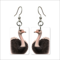 Wild Ostrich Earrings
