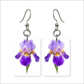 Purple Iris Earrings