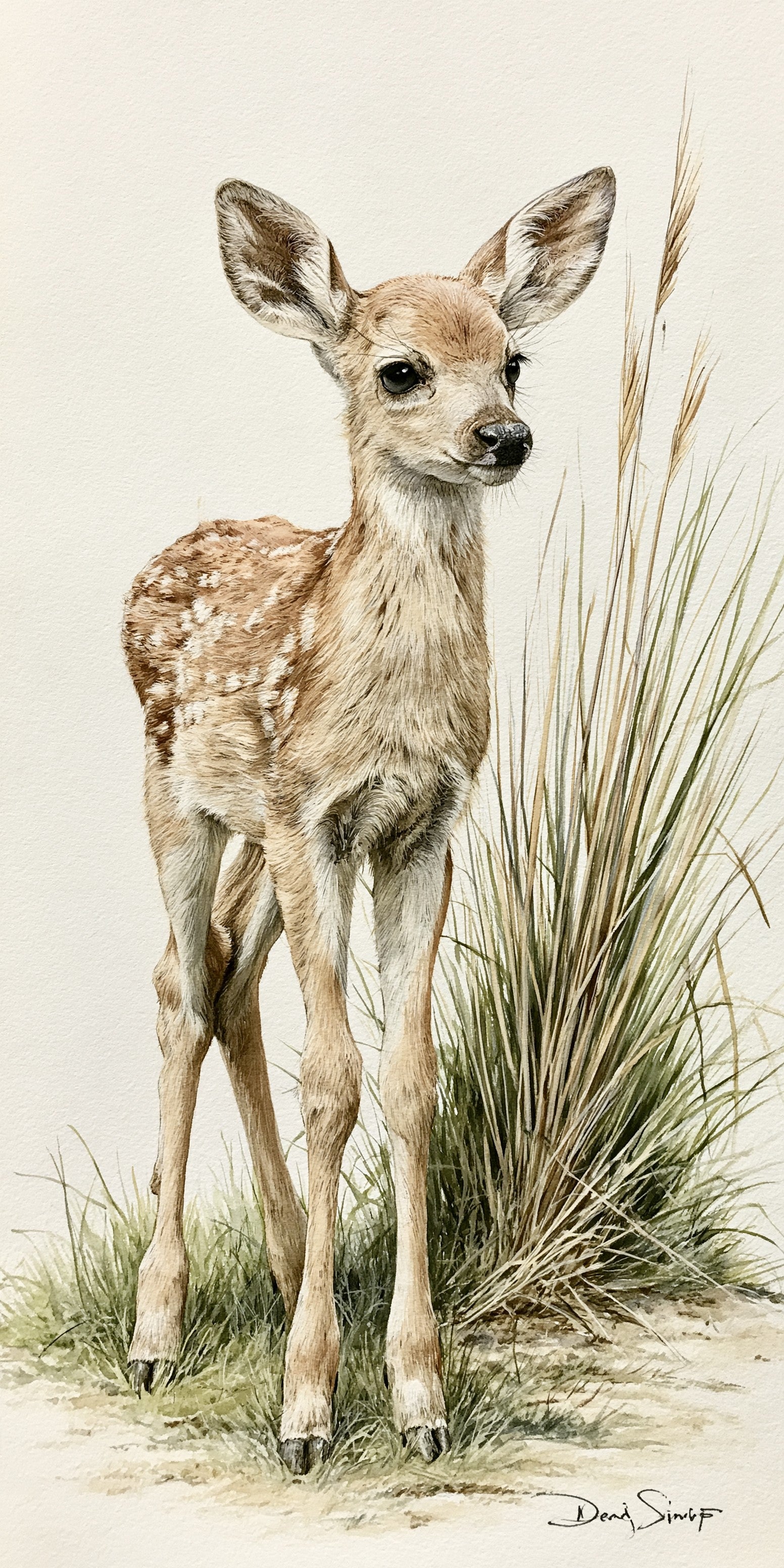Grassland Fawn Earrings | FW195