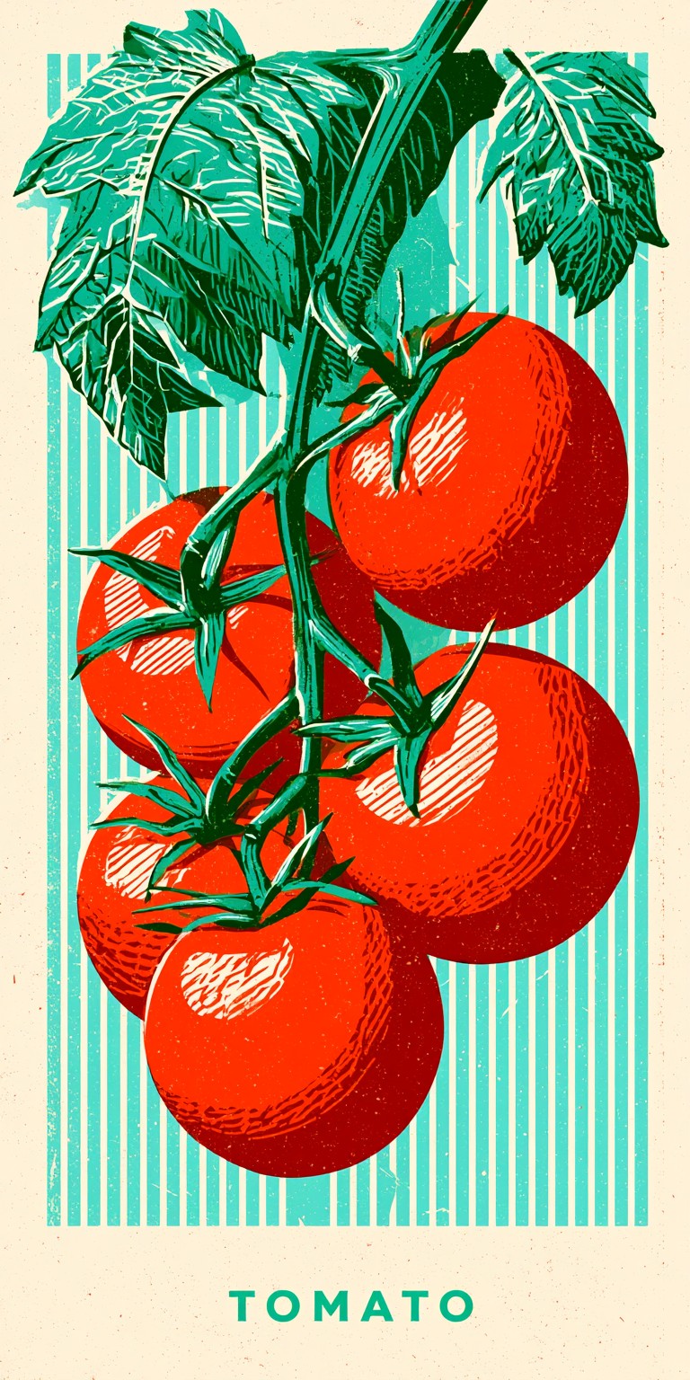 Vine Tomatoes Earrings | FW207
