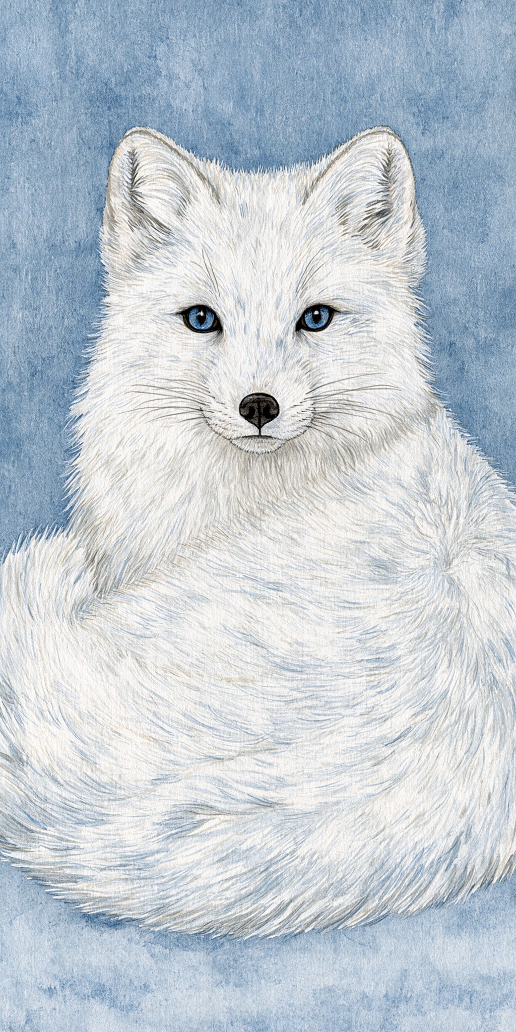 Arctic Fox Earrings | FW229