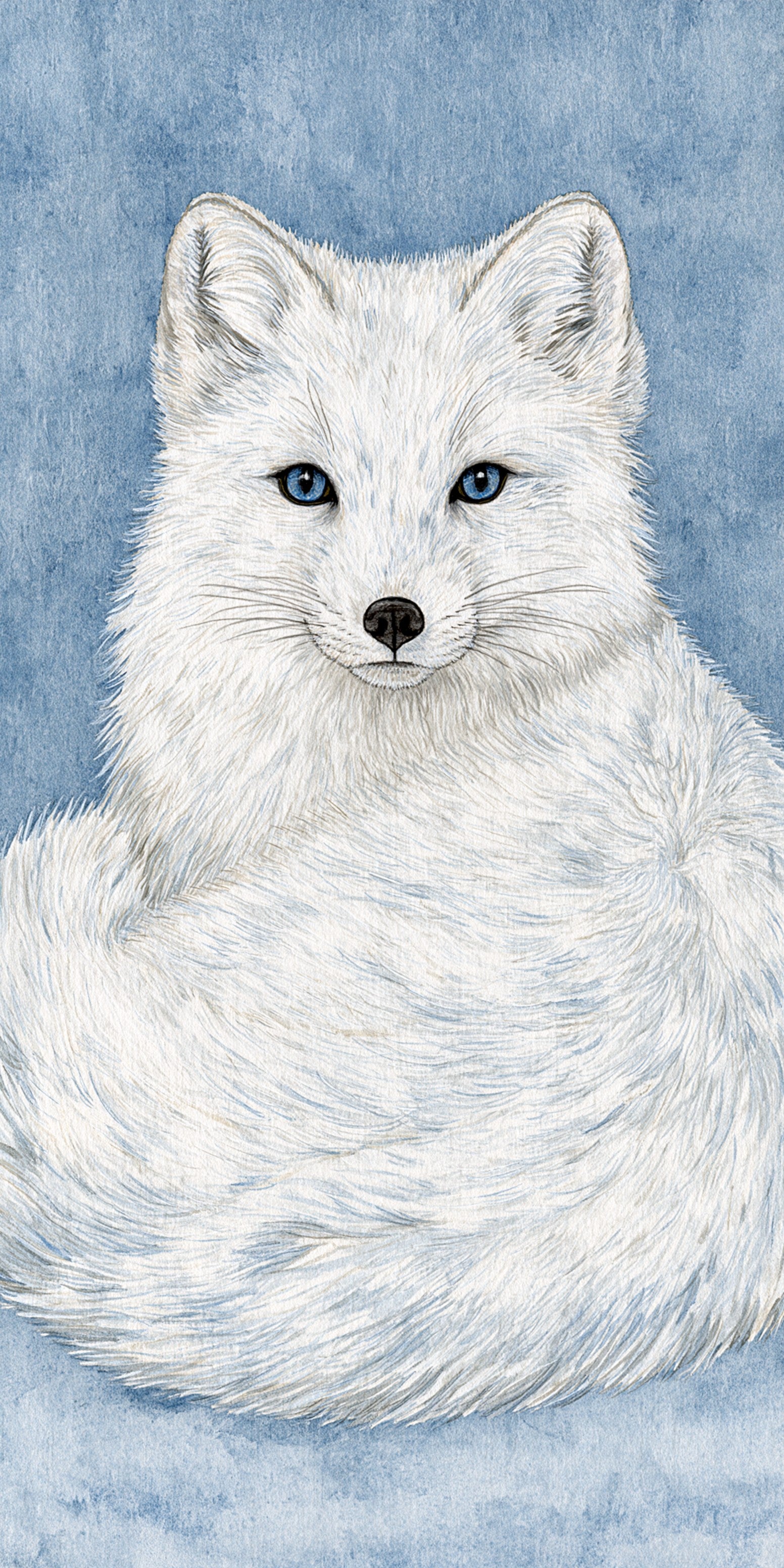 Arctic Fox Earrings | FW229