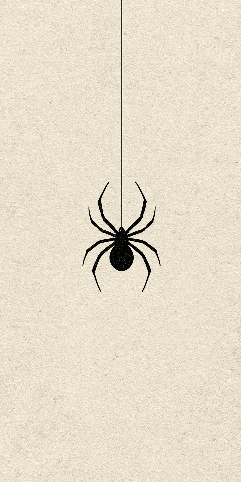 Dangling Spider Earrings | FW277